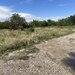 Tartasesti, Gulia, Drumul National 7, langa benzinaria Lukoil