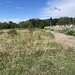 Tartasesti, Gulia, Drumul National 7, langa benzinaria Lukoil