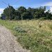 Tartasesti, Gulia, Drumul National 7, langa benzinaria Lukoil